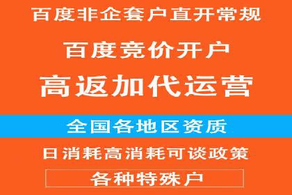 竞价排名优化策略案例分析